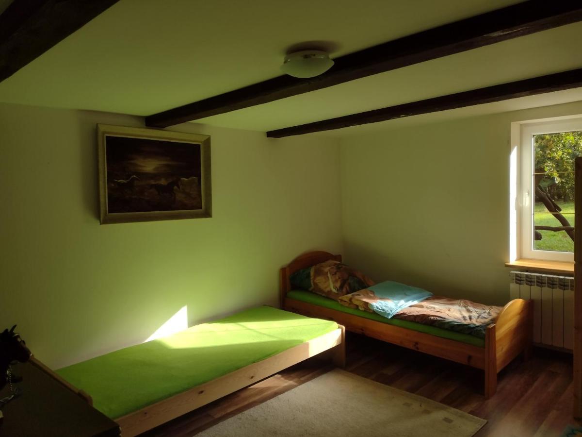 Kolorowe Wzgorze Agroturystyka I Konie Trojanow Exterior photo