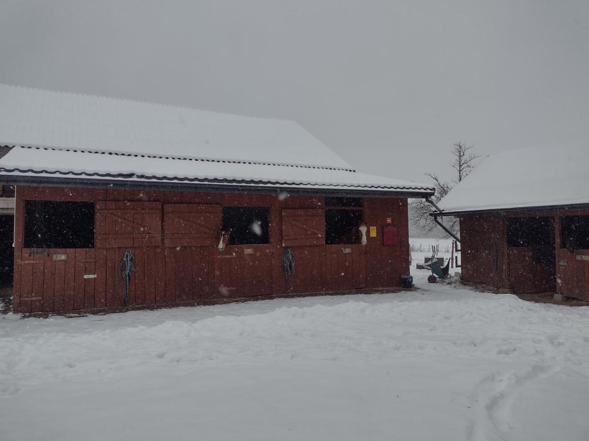 Kolorowe Wzgorze Agroturystyka I Konie Trojanow Exterior photo
