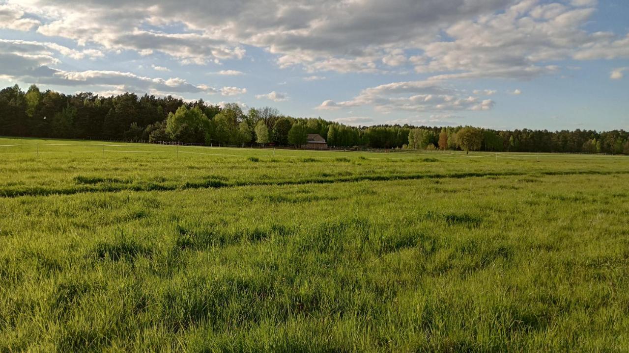 Kolorowe Wzgorze Agroturystyka I Konie Trojanow Exterior photo